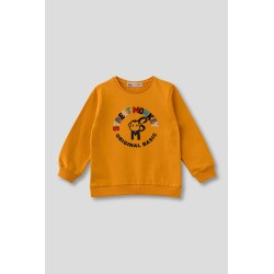 Sudadera cuello redondo chico street monkey-95057MO-1-Street Monkey