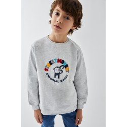 Sudadera cuello redondo niño Street Monkey-95057