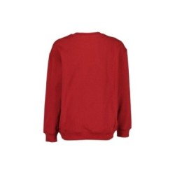 Tumodakids distribuidores de ropa infantil. Sudadera Letras cuello redondo chico - Blue Seven