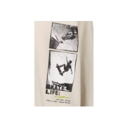 Tumodakids proveedores de ropa infantil. Sudadera chico cuello redondo Skate - Blue Seven