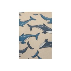 Tumodakids mayoristas de ropa infantil. Sudadera niño cuello redondo estampado ballenas - Blue Seven